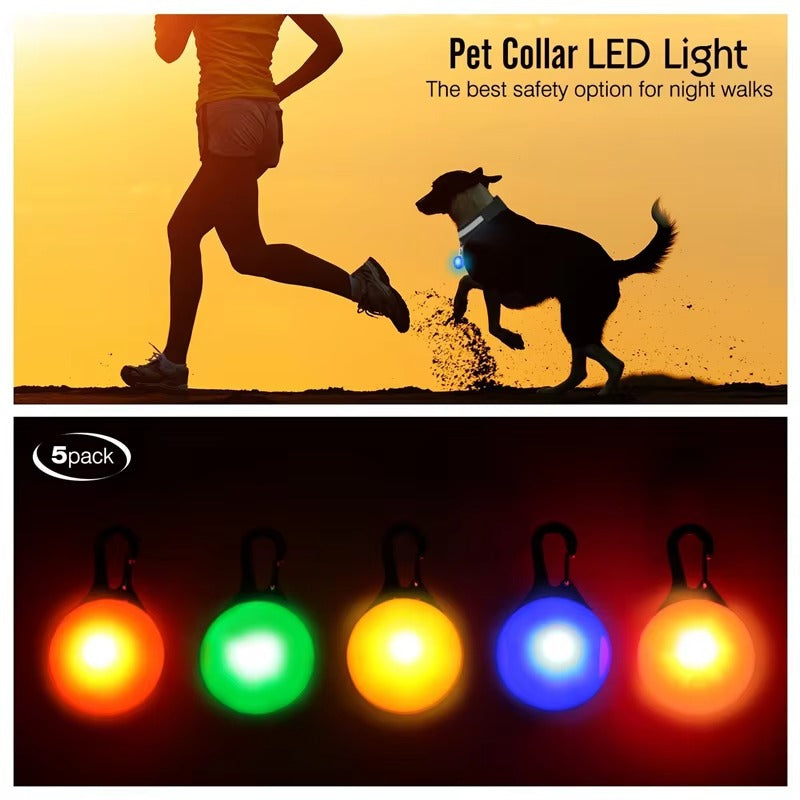 Best USB Rechargeable LED Collar in USA
