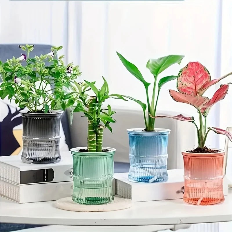 Best Self-Watering Hydroponic Flower Pot in USA