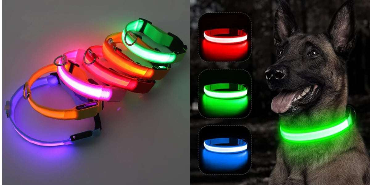 Best USB Rechargeable LED Collar in USA