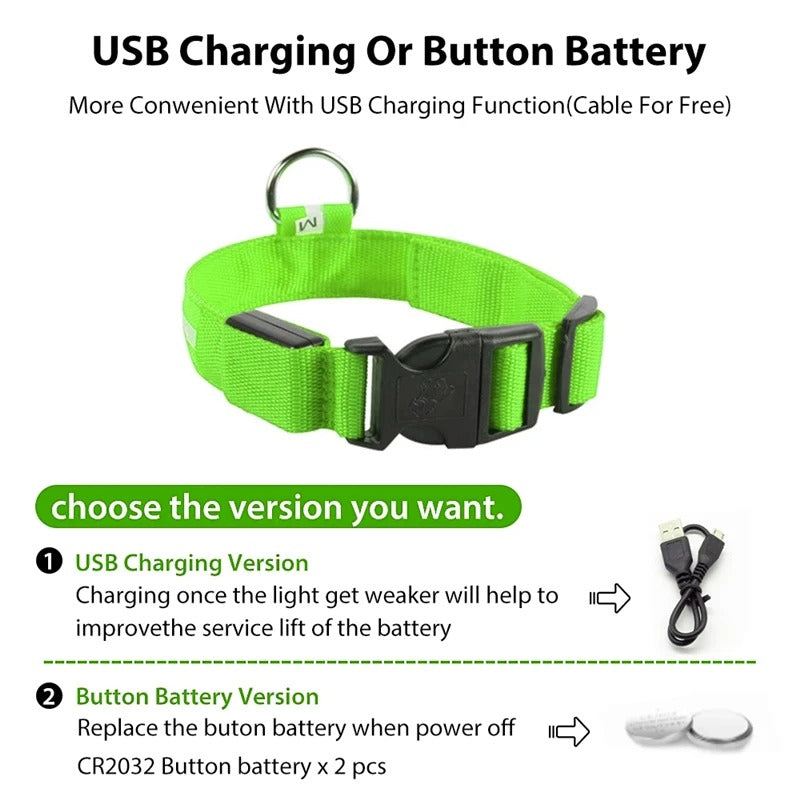 Best USB Rechargeable LED Collar in USA