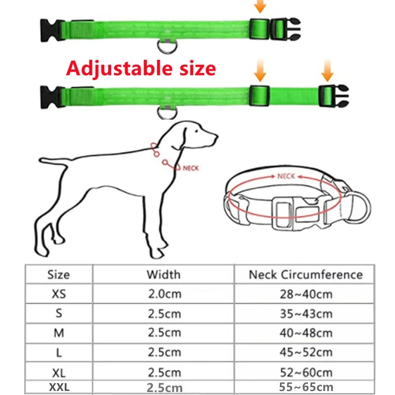 Best USB Rechargeable LED Collar in USA