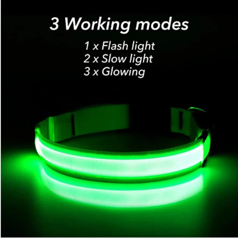Best USB Rechargeable LED Collar in USA