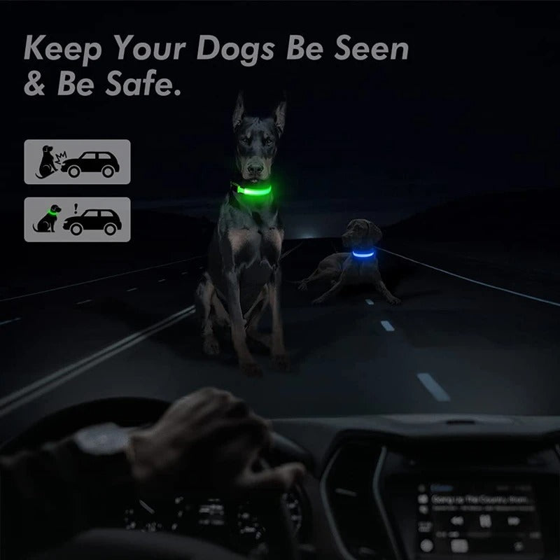 Best USB Rechargeable LED Collar in USA