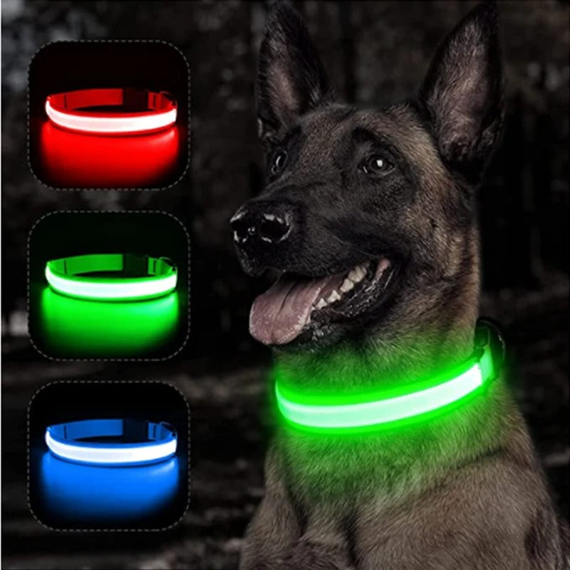 Best USB Rechargeable LED Collar in USA