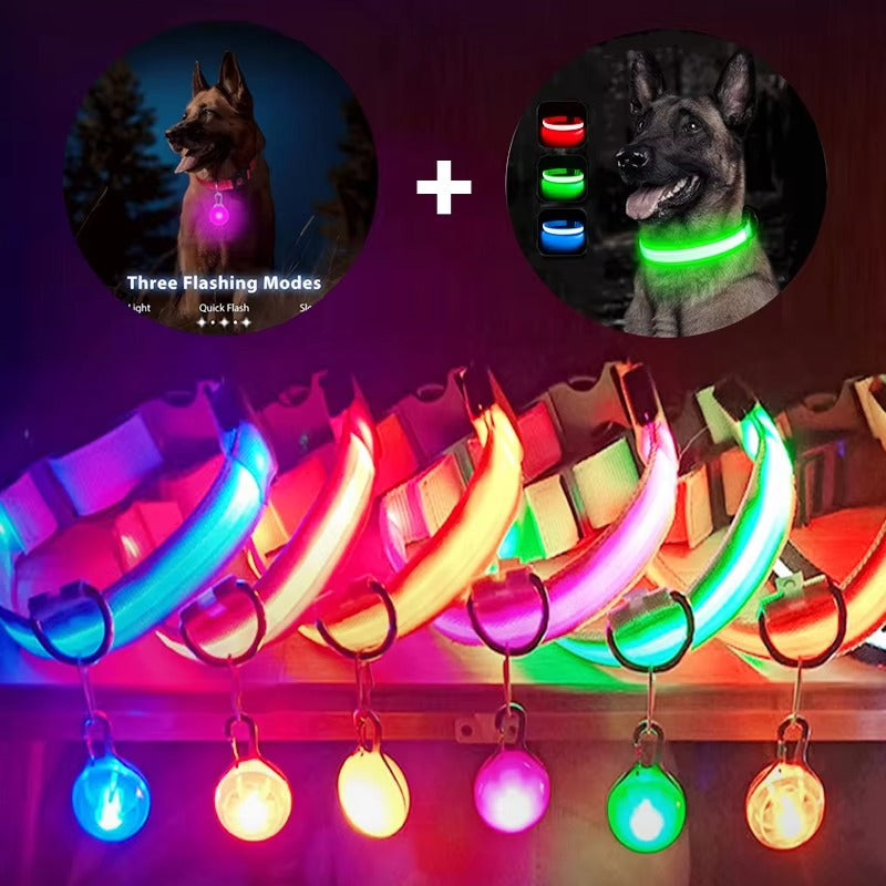 Best USB Rechargeable LED Collar in USA