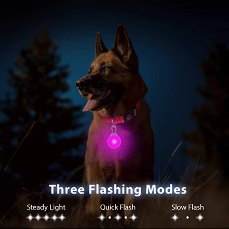 Best USB Rechargeable LED Collar in USA