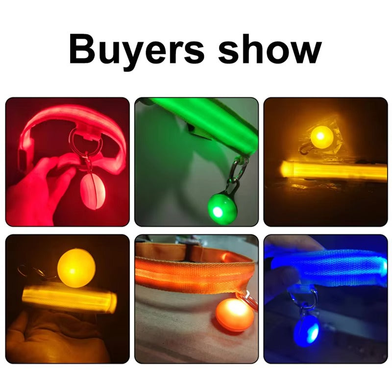 Best USB Rechargeable LED Collar in USA