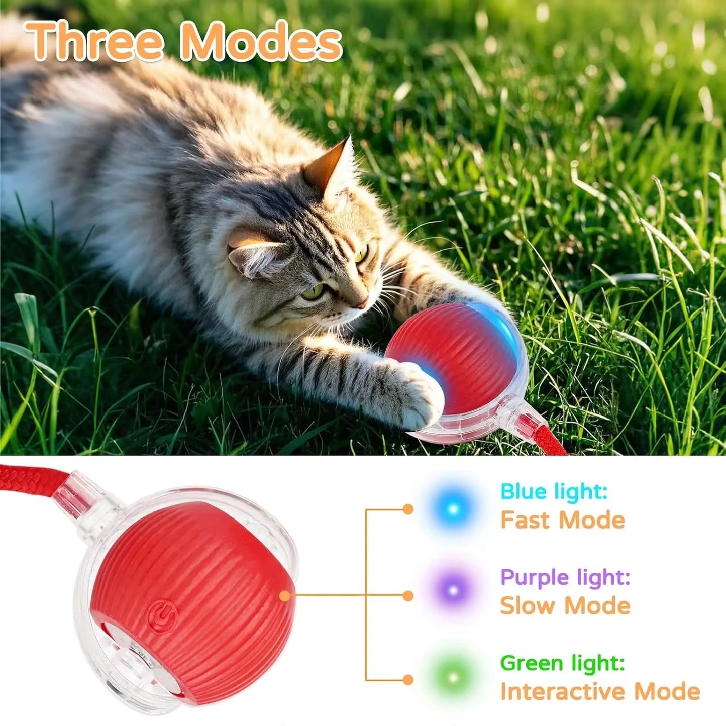 Best Rechargeable Interactive Dog & Cat Ball Toy in USA