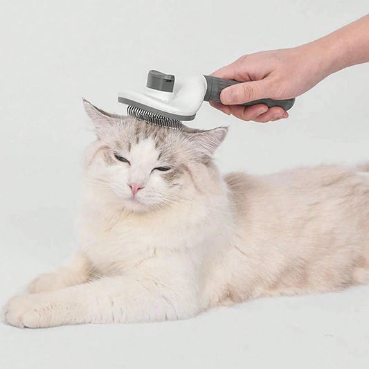 Best Pet Grooming Comb for Dogs & Cats in USA