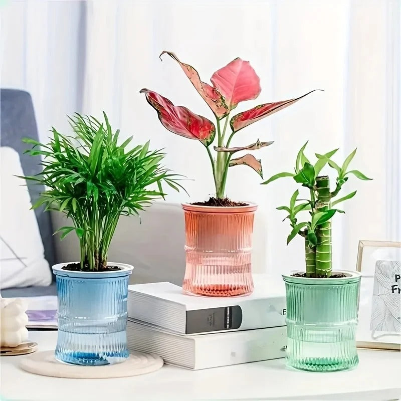 Best Self-Watering Hydroponic Flower Pot in  USA