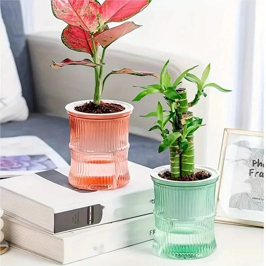 Best Self-Watering Hydroponic Flower Pot in  USA
