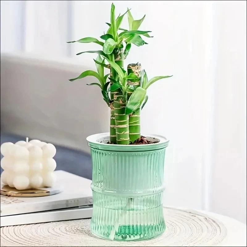 Best Self-Watering Hydroponic Flower Pot in  USA