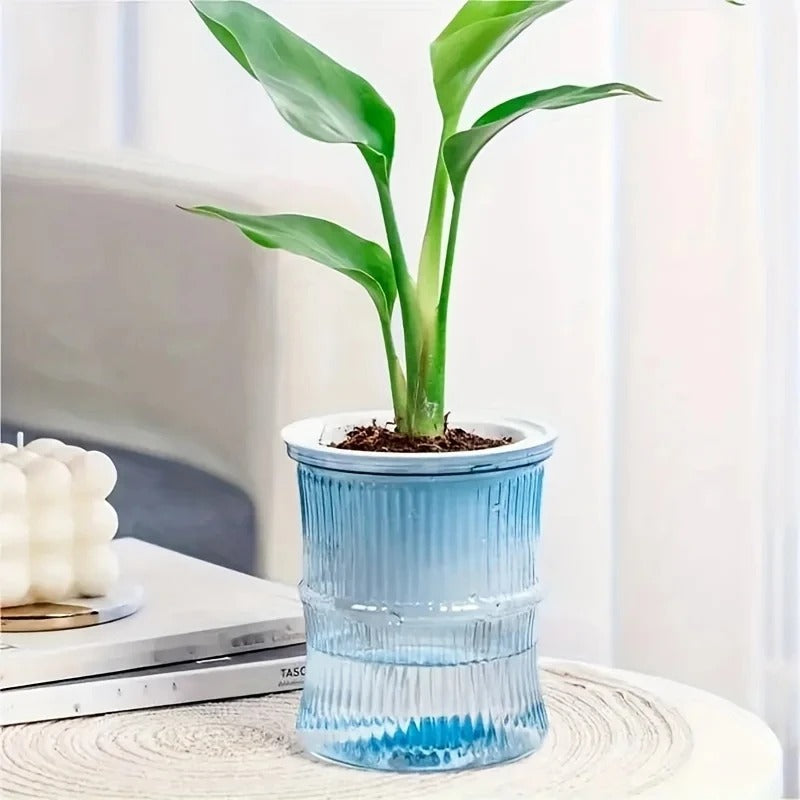 Best Self-Watering Hydroponic Flower Pot in  USA